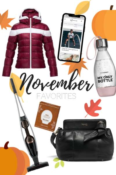 Mes favoris de novembre